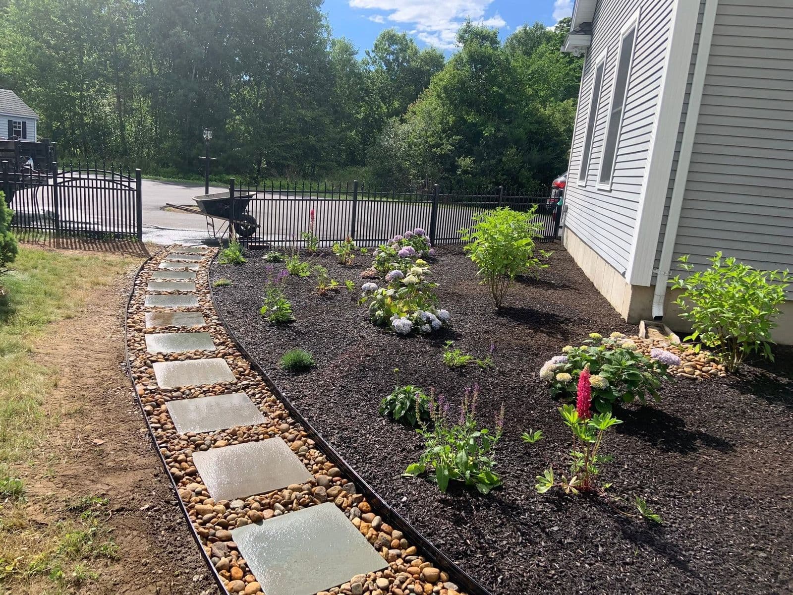 Mulched foundation bed with hydrangeas and lupines along a stone paver walkway lined with river rock