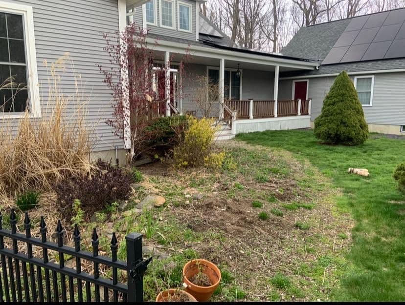 Overgrown foundation bed with bare soil and ornamental grasses before landscaping beside a gray house