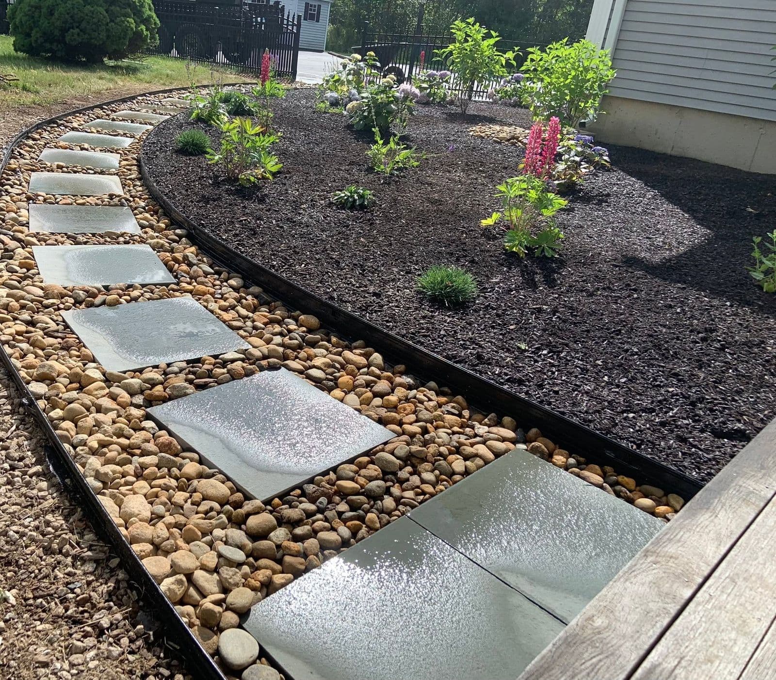 Wet flagstones set in river rock bordering a freshly mulched bed with lupines