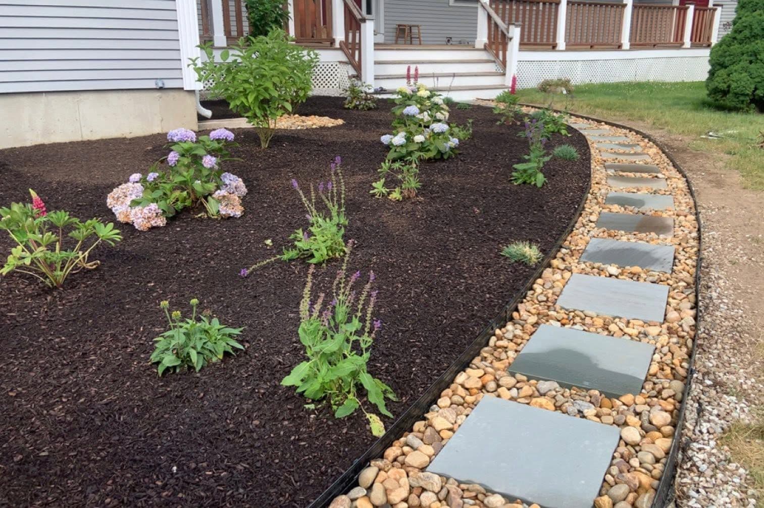 Mulched bed with hydrangeas and salvia bordered by a bluestone stepping stone path in river rock