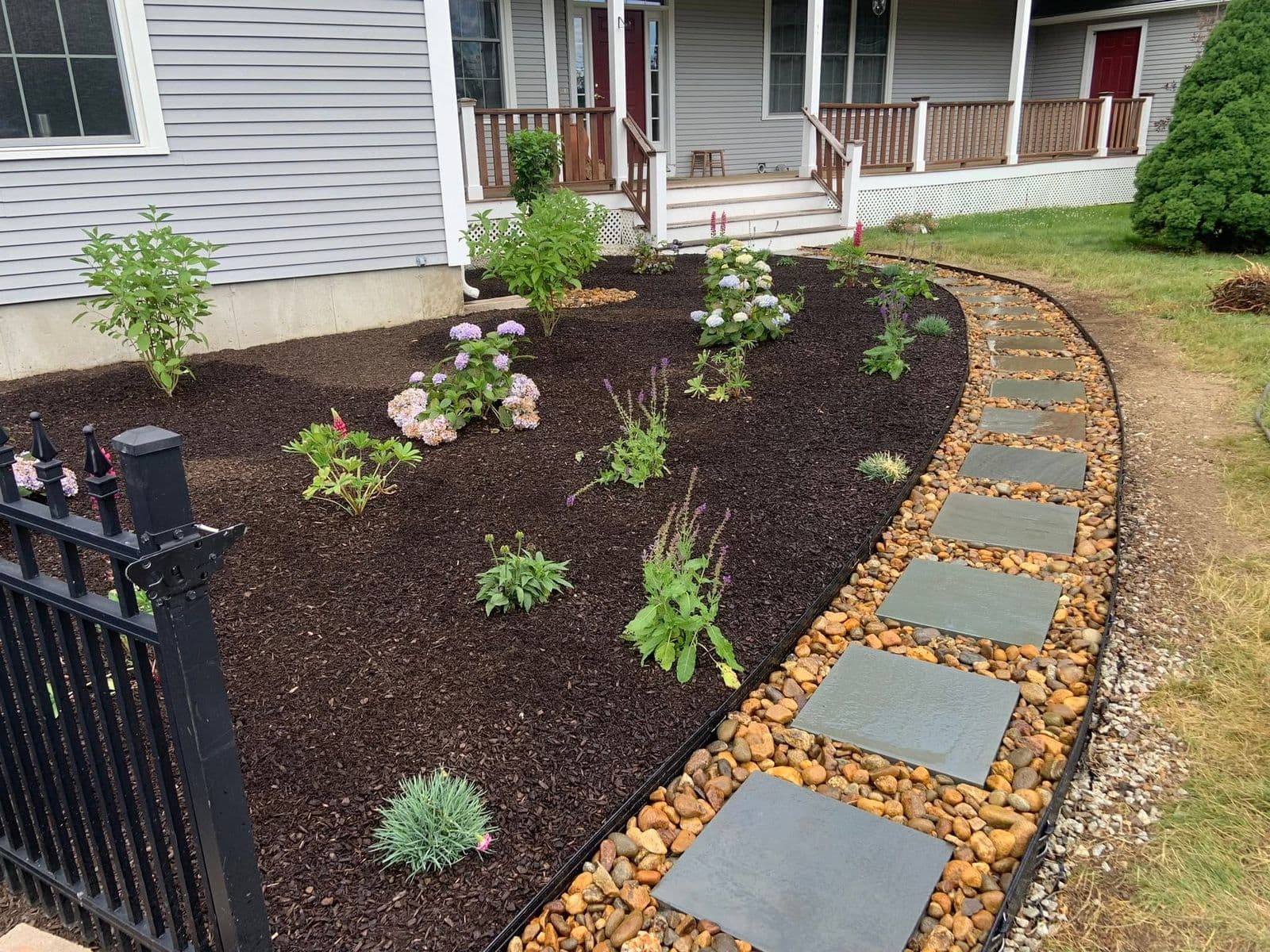 Wide mulched front bed with hydrangeas and perennials edged by a curved flagstone path