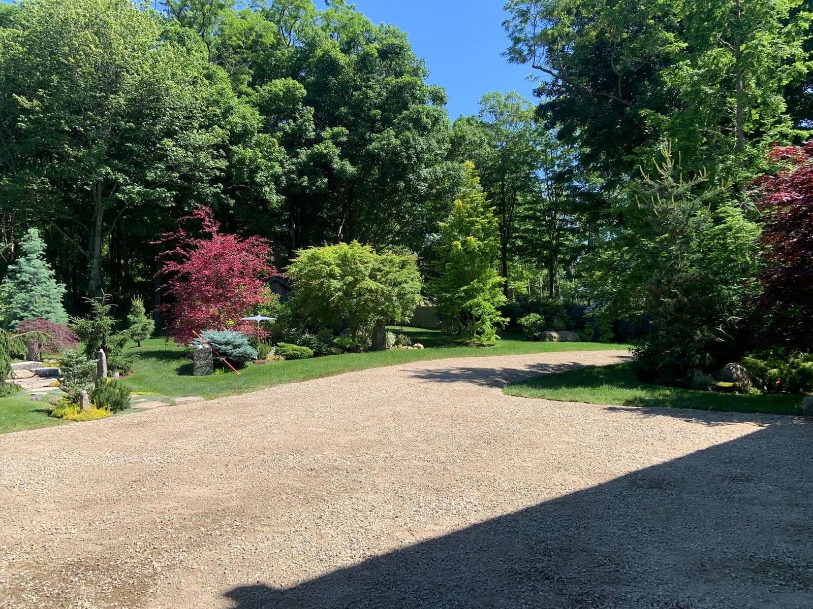 Raked gravel driveway curving through a manicured lawn with Japanese maples and mixed evergreens