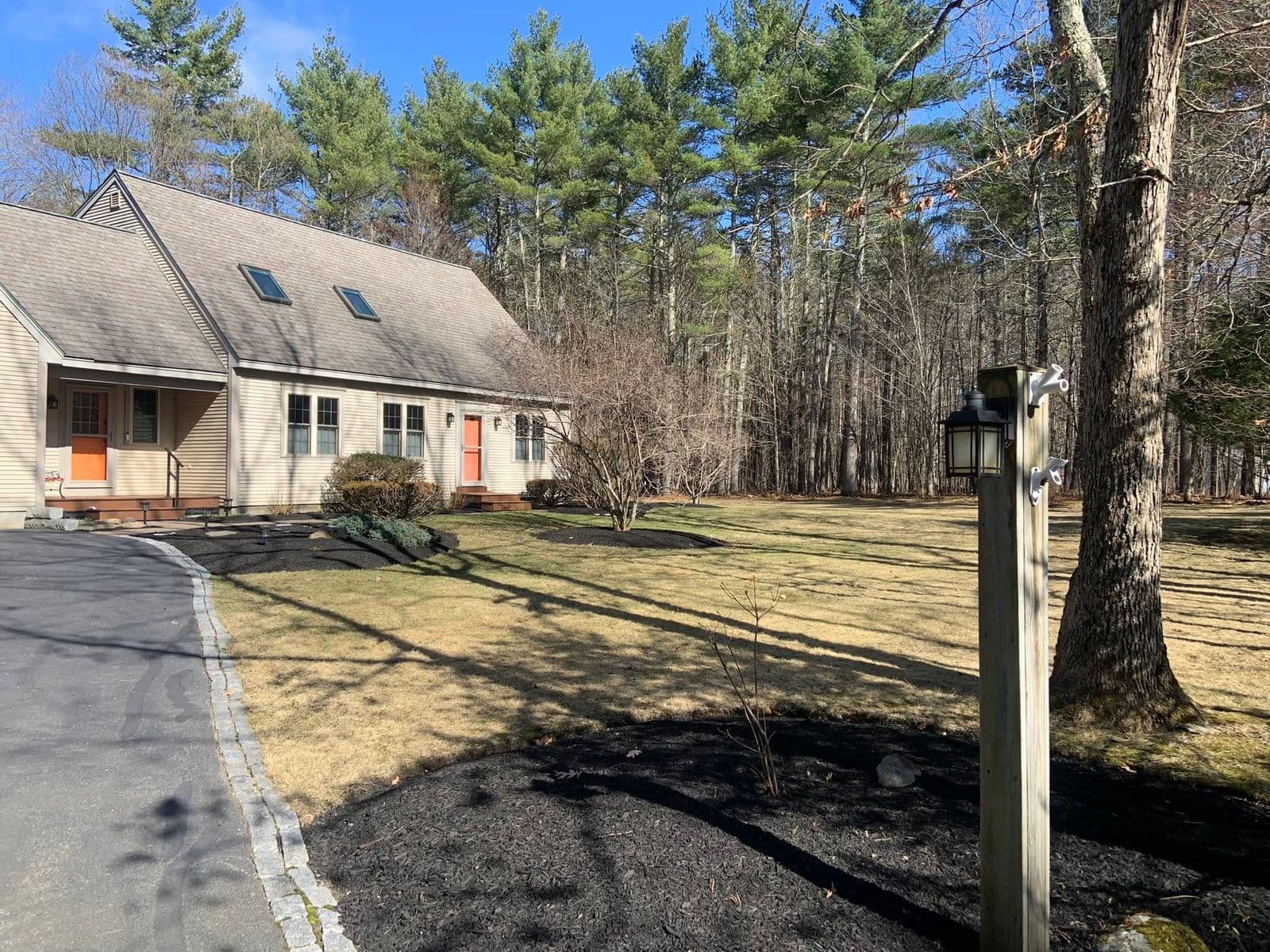 Cape-style house with mulched beds and lawn bordering a pine forest in early spring