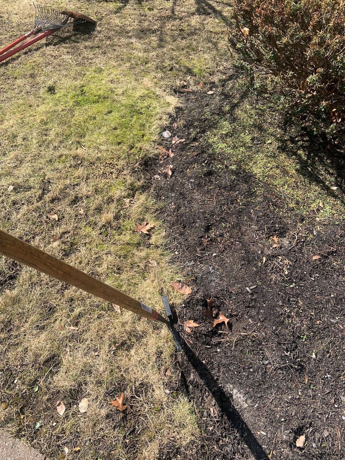 Close-up of freshly edged garden bed with dark mulch, rake, and edging tool