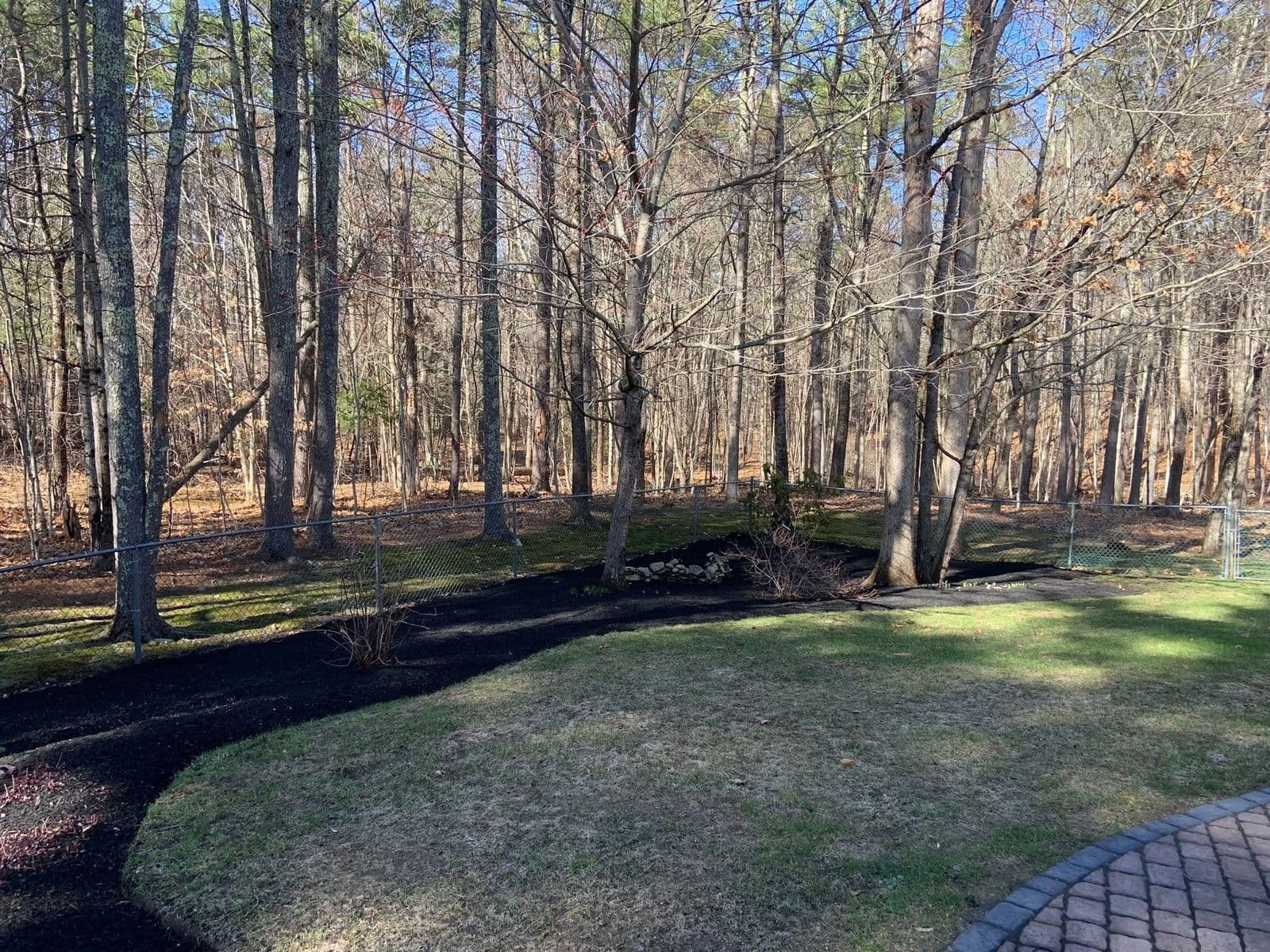 Curved dark mulch bed edging a lawn along a chain-link fence and bare woods