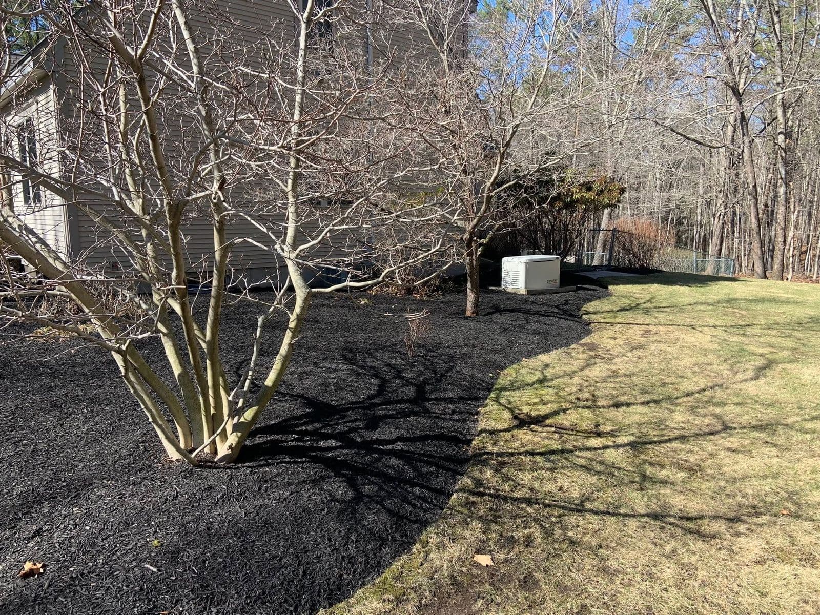 Fresh black mulch bed along house foundation beside trimmed lawn and bare trees
