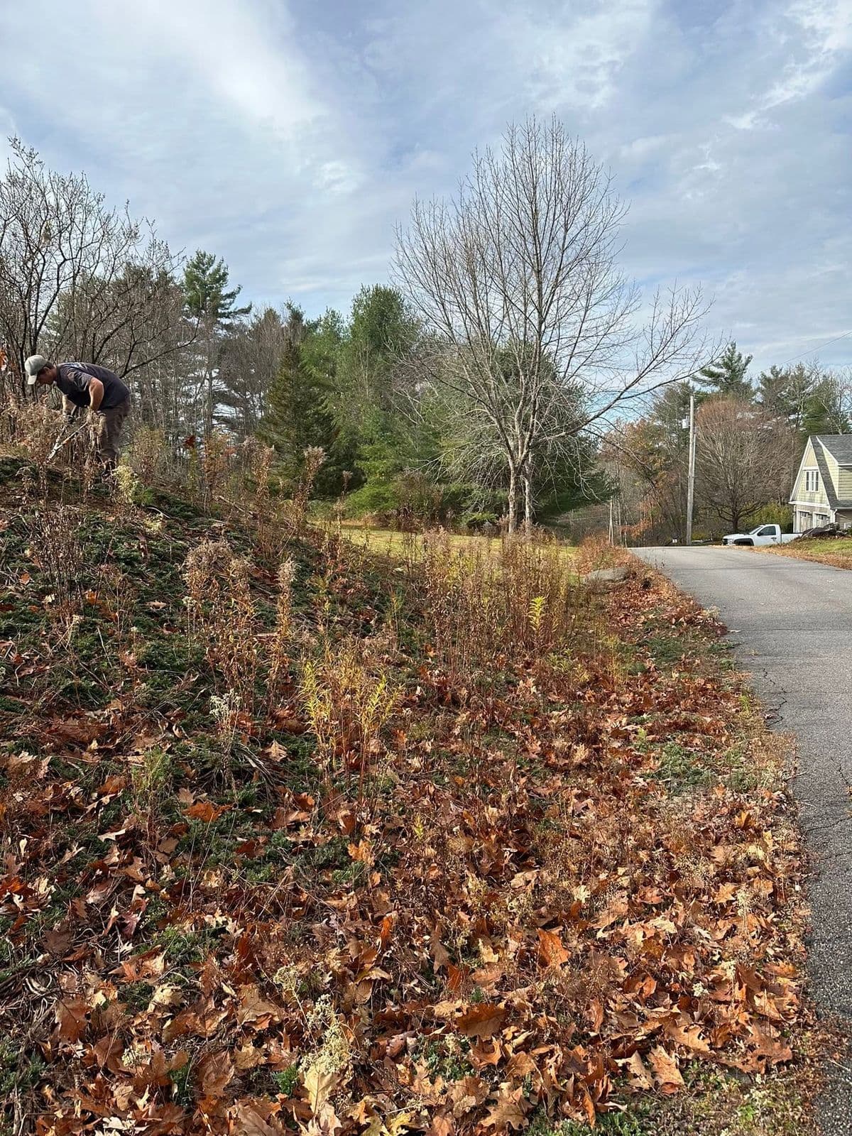 Worker clearing brush on a leaf-covered slope beside a rural road in autumn