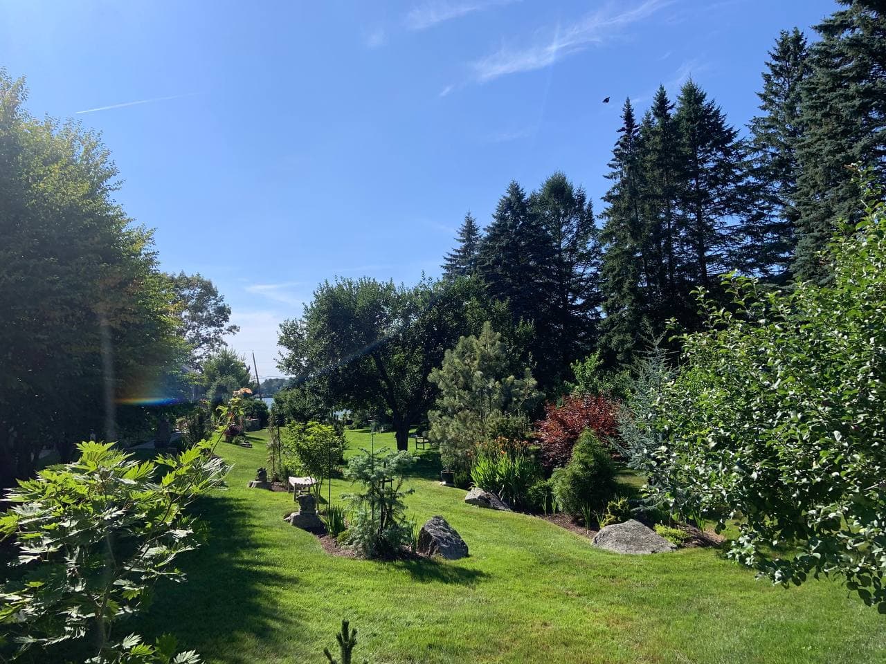 Expansive lawn with landscaped island beds and boulder plantings sloping toward the water at morning