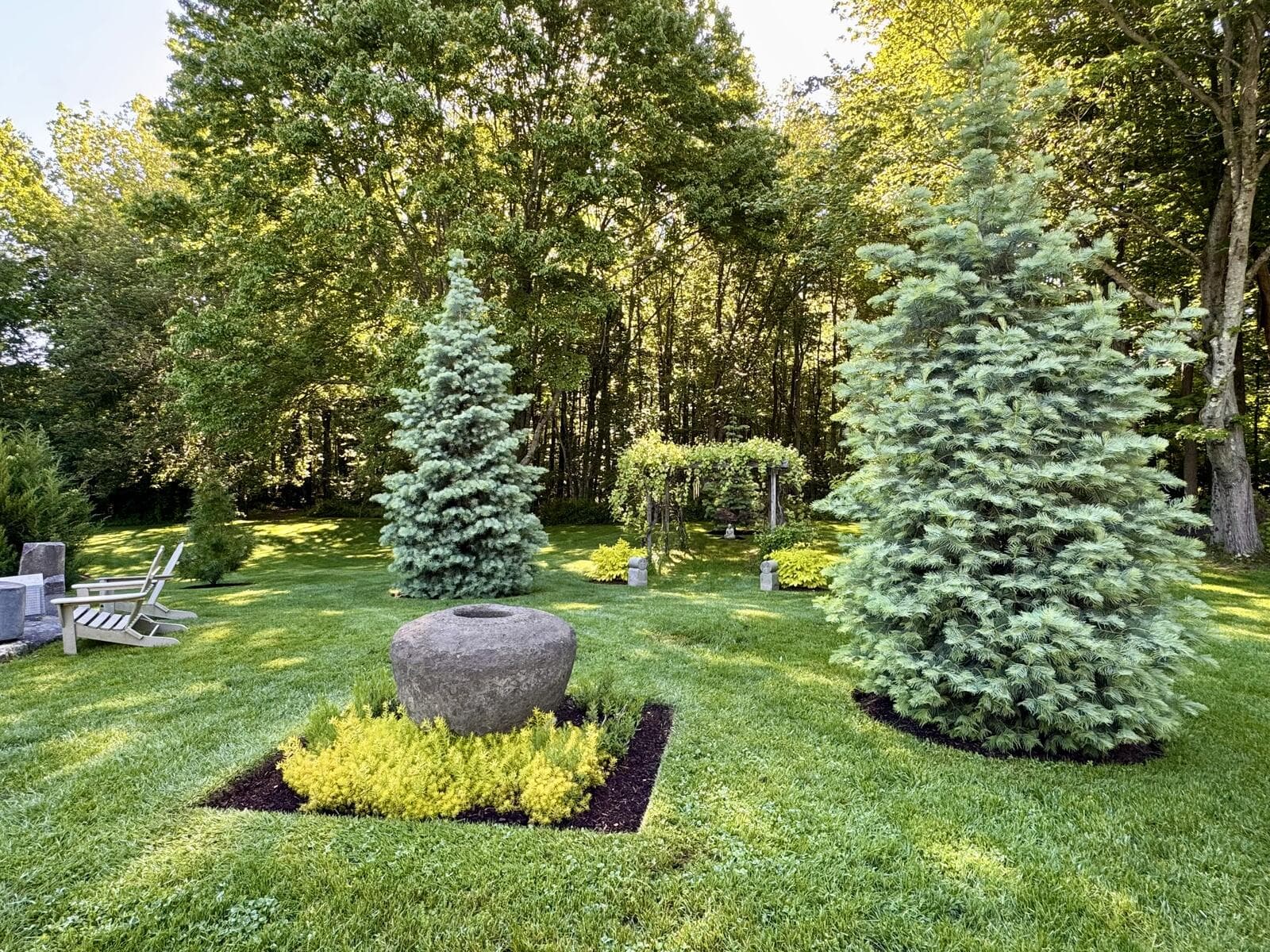 Landscaped lawn with two blue spruce specimens, a carved stone urn feature ringed by low golden shrubs in a mulched bed, and Adirondack chairs at the wood's edge
